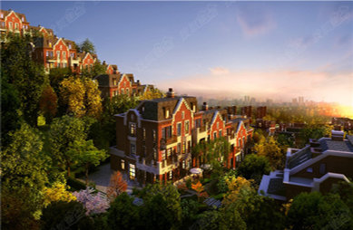 西山艺境别墅电梯