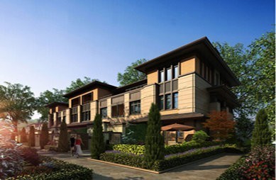 1553341043789811.jpg 1