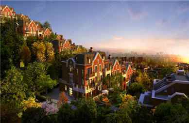 1554171122261903.jpg 1