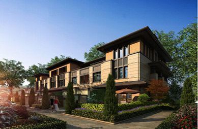 1554251751941681.jpg 3