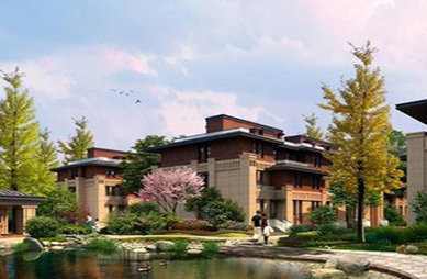 1554867208266978.jpg 3